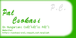 pal csokasi business card